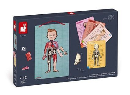Primera imagen del Juego de anatomía magnético - bodymagnet