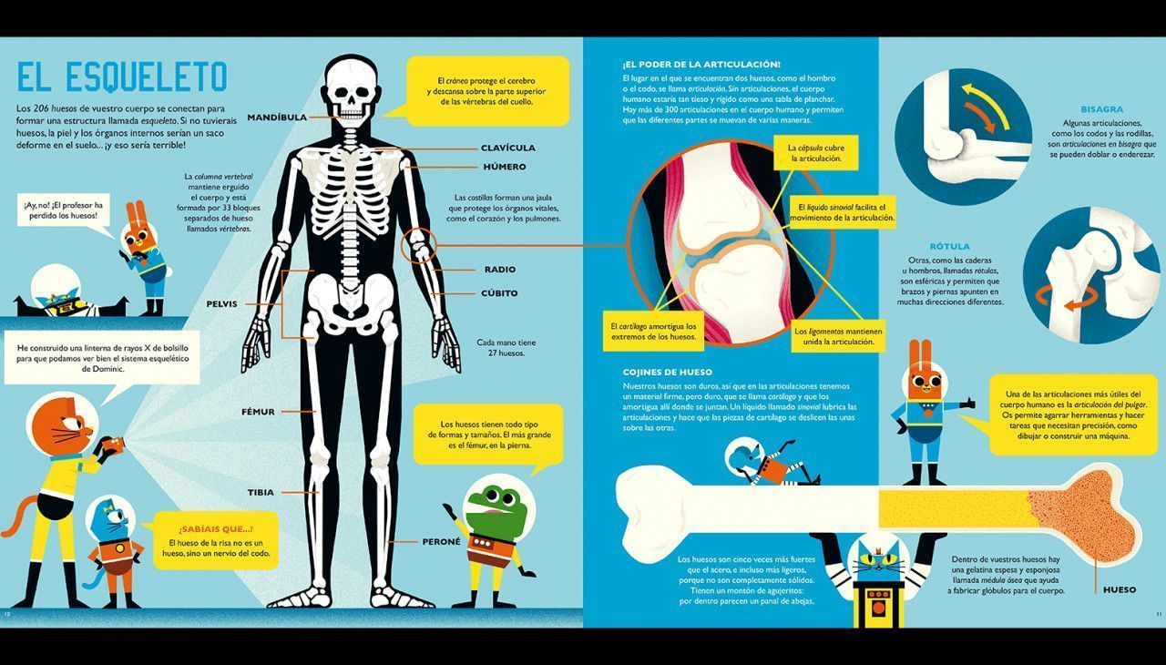 Sexta imagen de El profesor Astrocat y la odisea del cuerpo humano - Bárbara Fiore