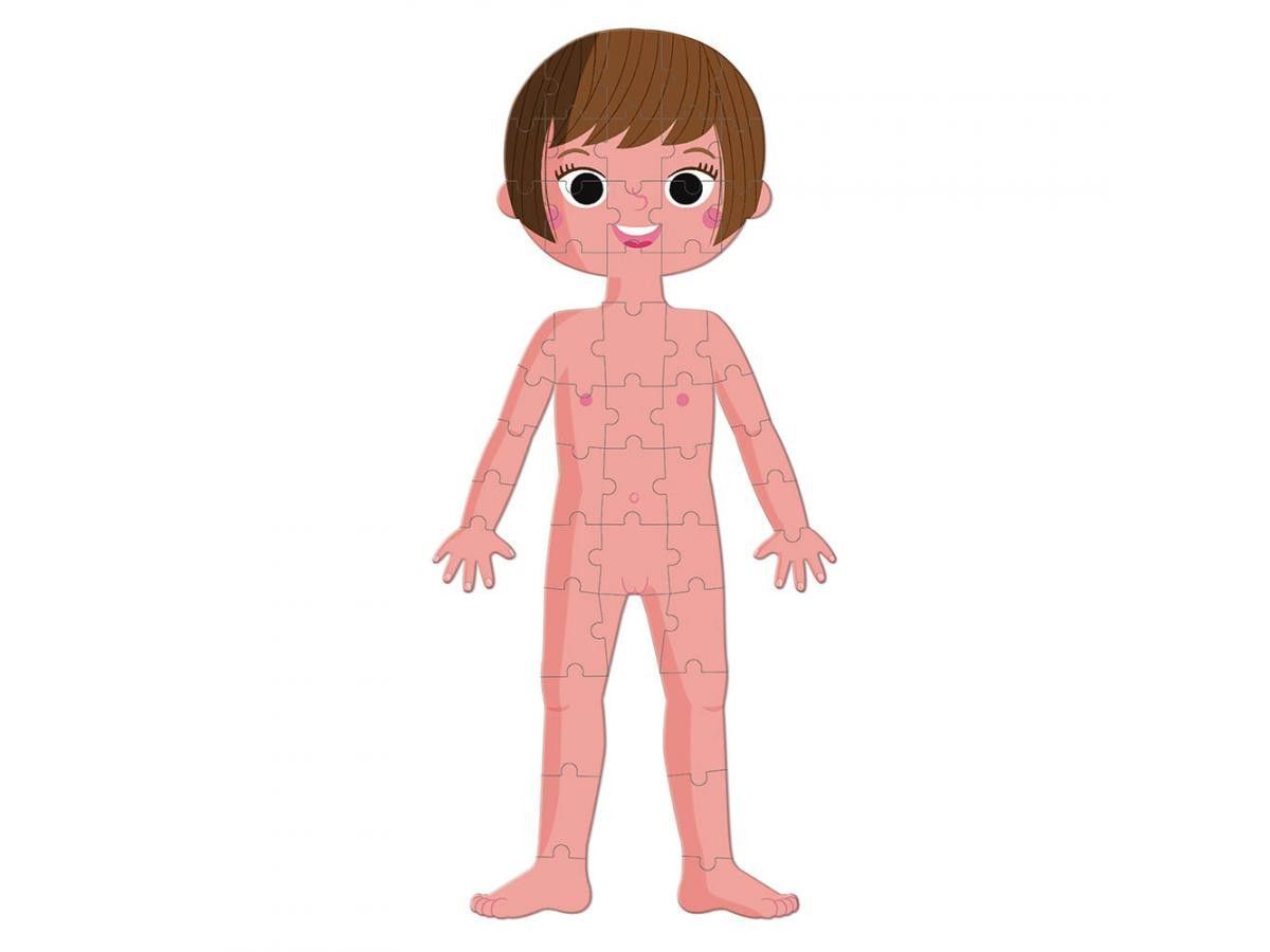 Tercera imagen del Puzle educativo Cuerpo Humano - Janod