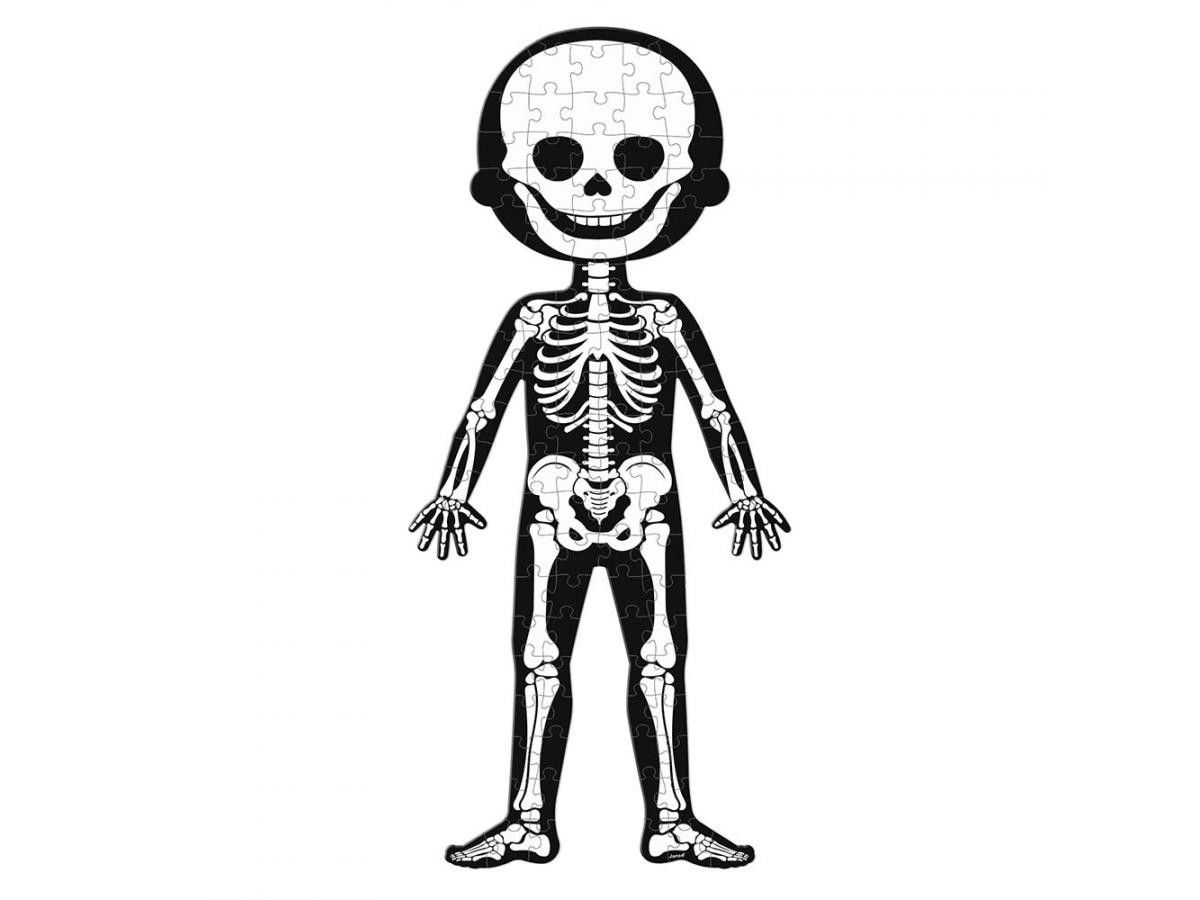 Sexta imagen del Puzle educativo Cuerpo Humano - Janod
