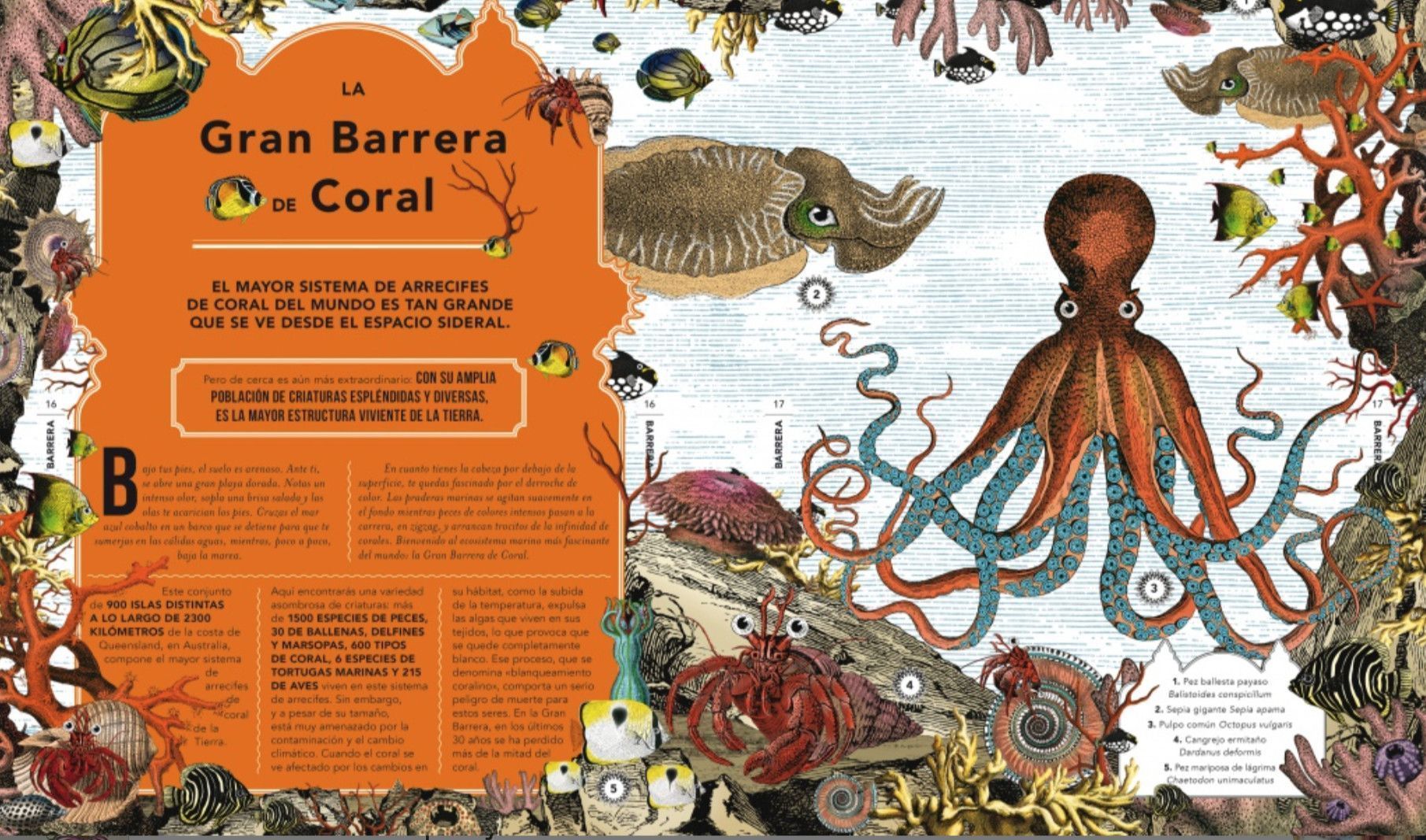 Tercera imagen de El jardín de las maravillas - Flamboyant