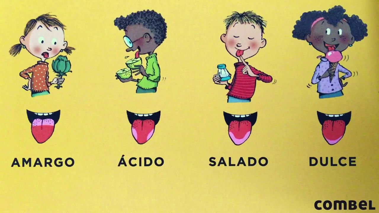 Tercera imagen de El cuerpo humano por dentro - libro con solapas - Combel
