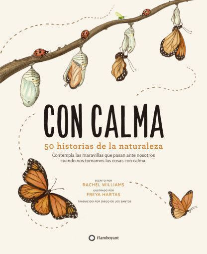 Primera imagen de Con calma - Flamboyant