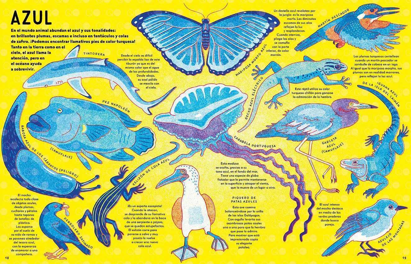 Quinta imagen de Caleidoscopio animal - Libros del Zorro Rojo