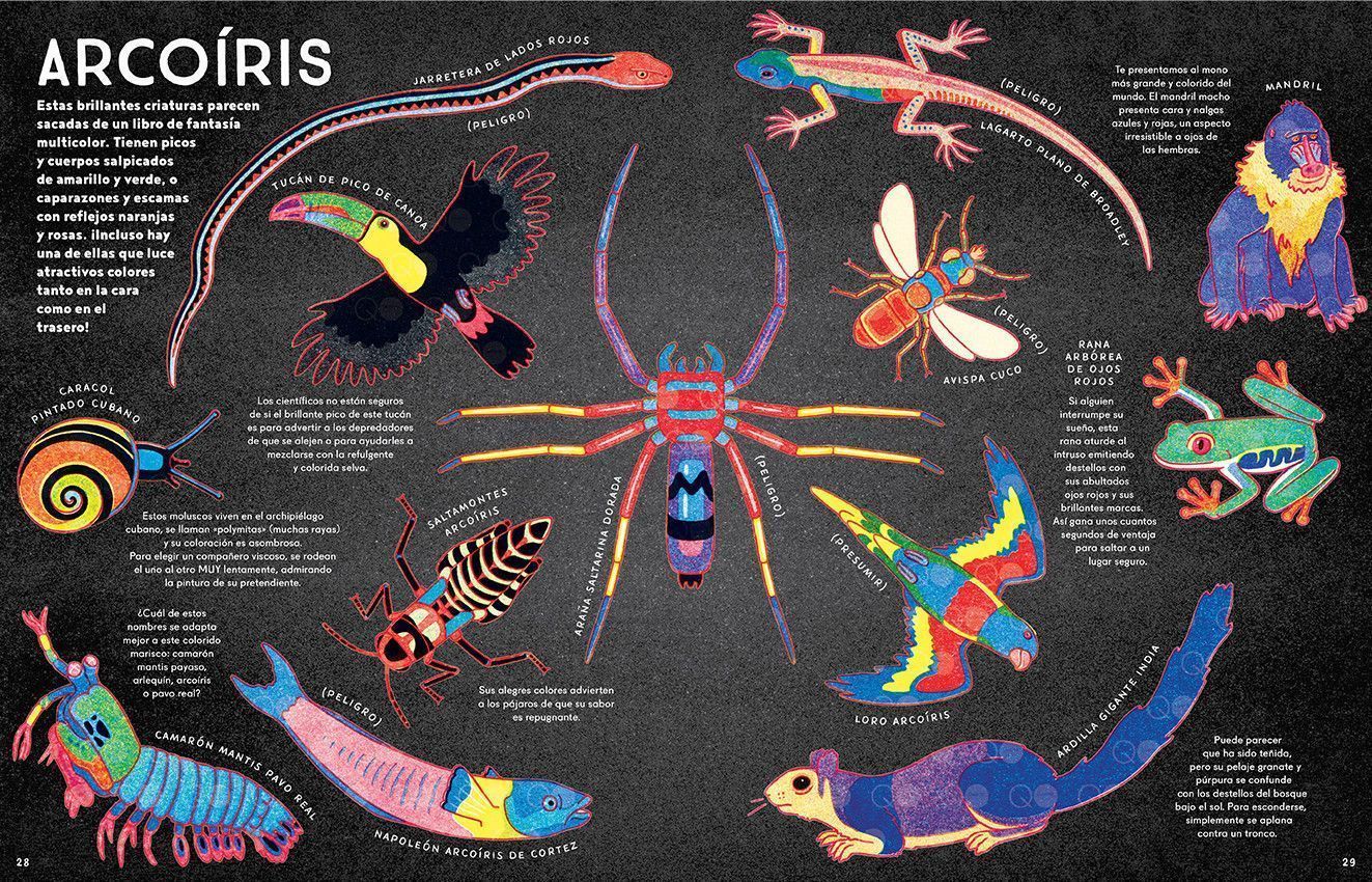 Tercera imagen de Caleidoscopio animal - Libros del Zorro Rojo