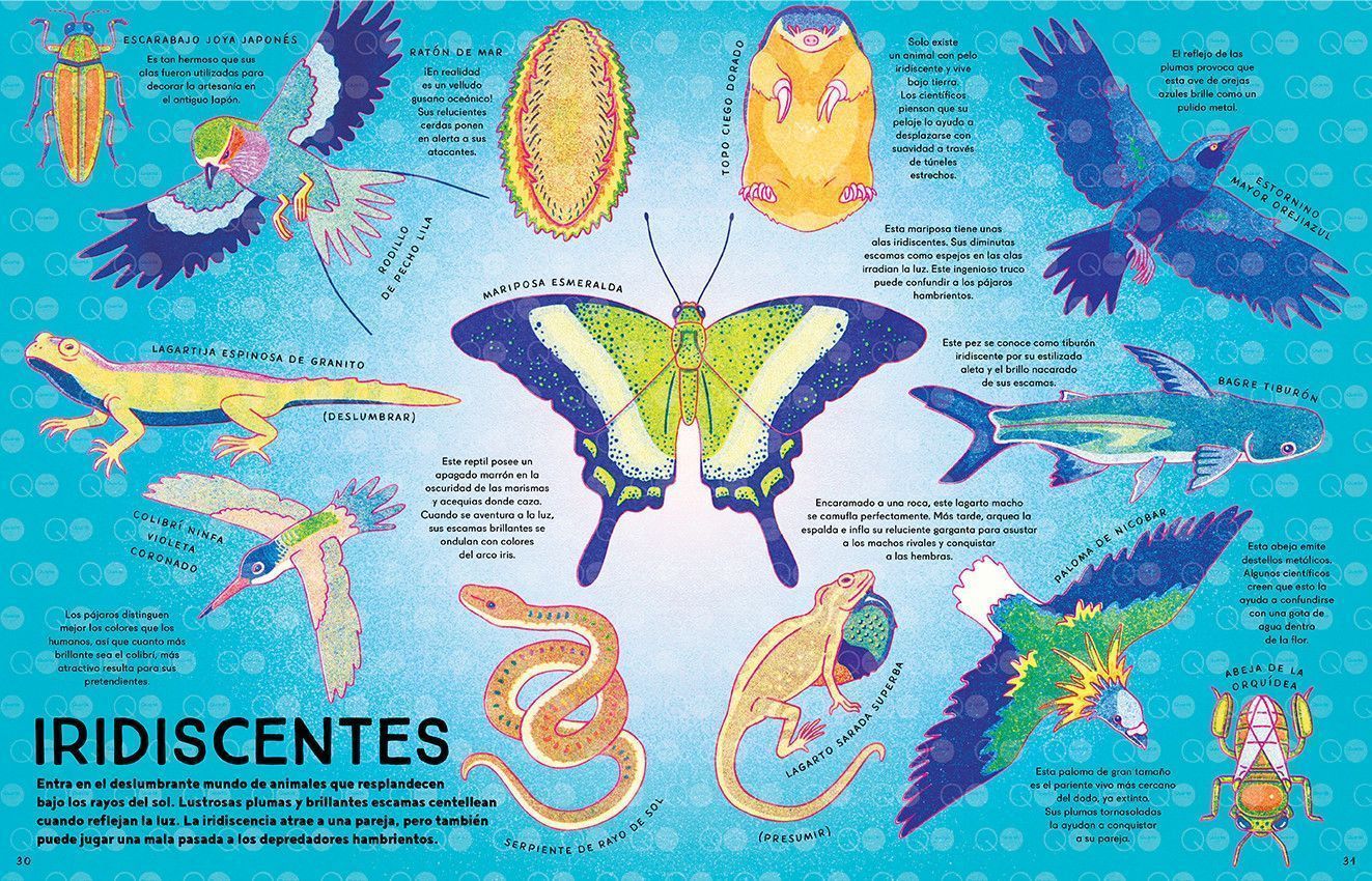 Segunda imagen de Caleidoscopio animal - Libros del Zorro Rojo