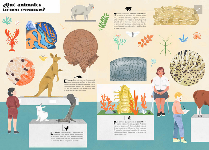 Cuarta imagen de Museo Animal - libro de solapas - Zahorí de ideas