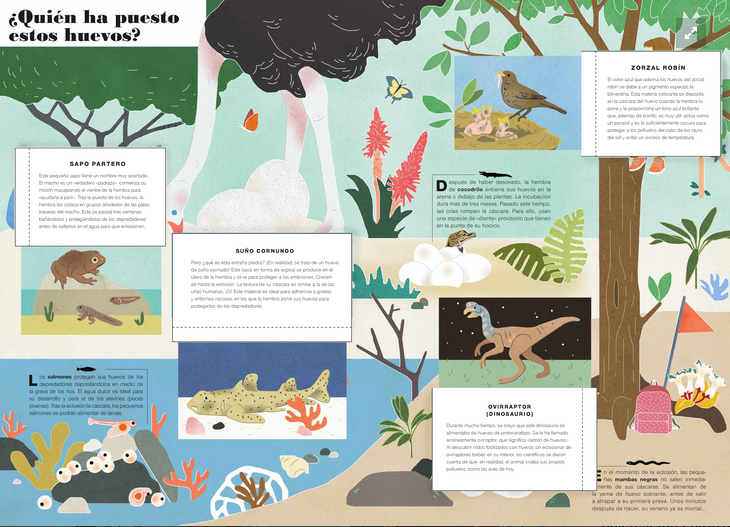 Tercera imagen de Museo Animal - libro de solapas - Zahorí de ideas
