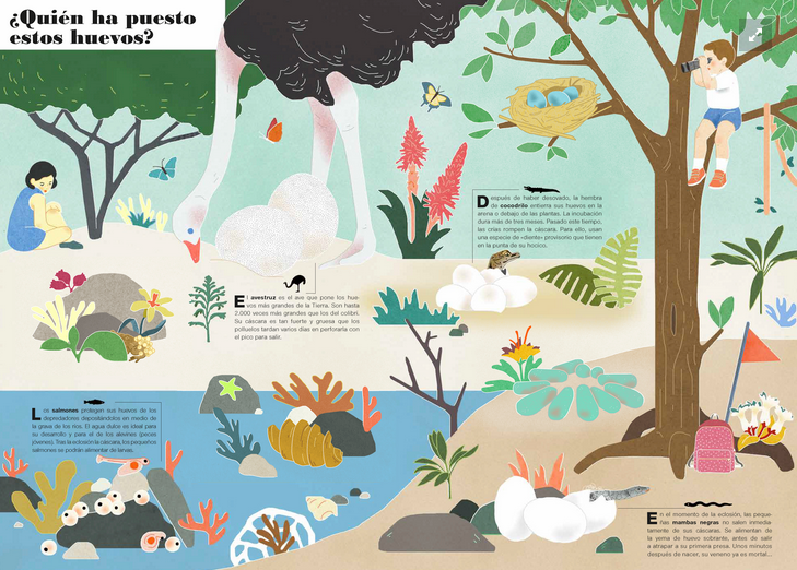 Segunda imagen de Museo Animal - libro de solapas - Zahorí de ideas