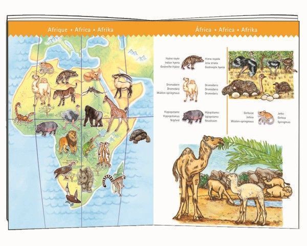 Segunda imagen del Puzzle observación Los Animales del Mundo - Djeco