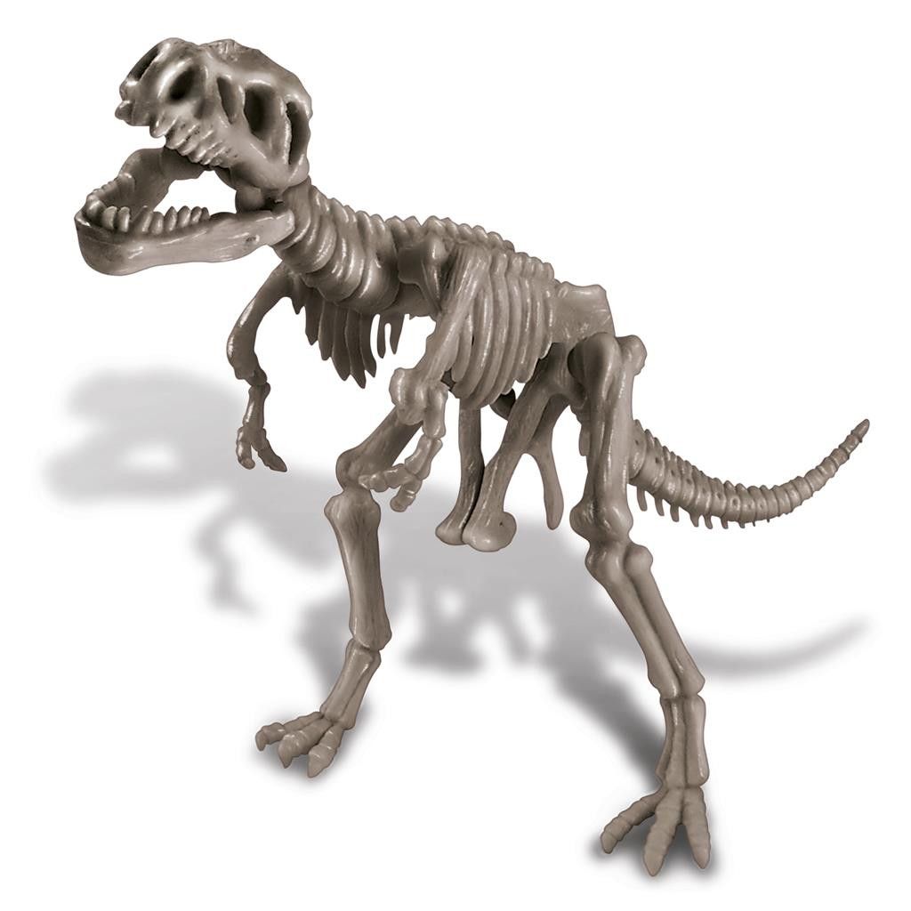 Segunda imagen de Kidzlabs set de Paleontología esqueleto Tyrannosaurus Rex