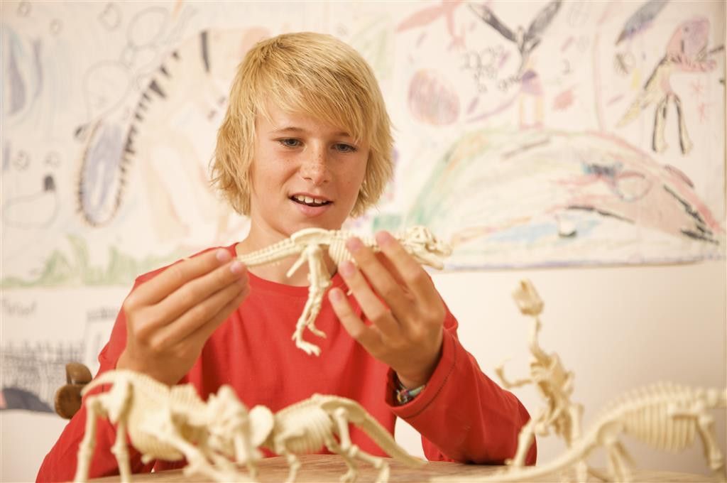 Tercera imagen de Kidzlabs set de Paleontología esqueleto Tyrannosaurus Rex