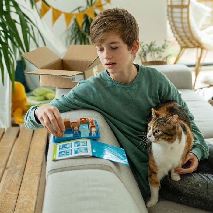 Quinta imagen de Gatos y Cajas. Juego de lógica de Smart Games