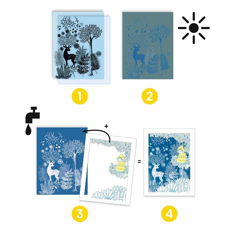 Cuarta imagen del Taller de Cianotipia. A la Luz de la Luna de Djeco