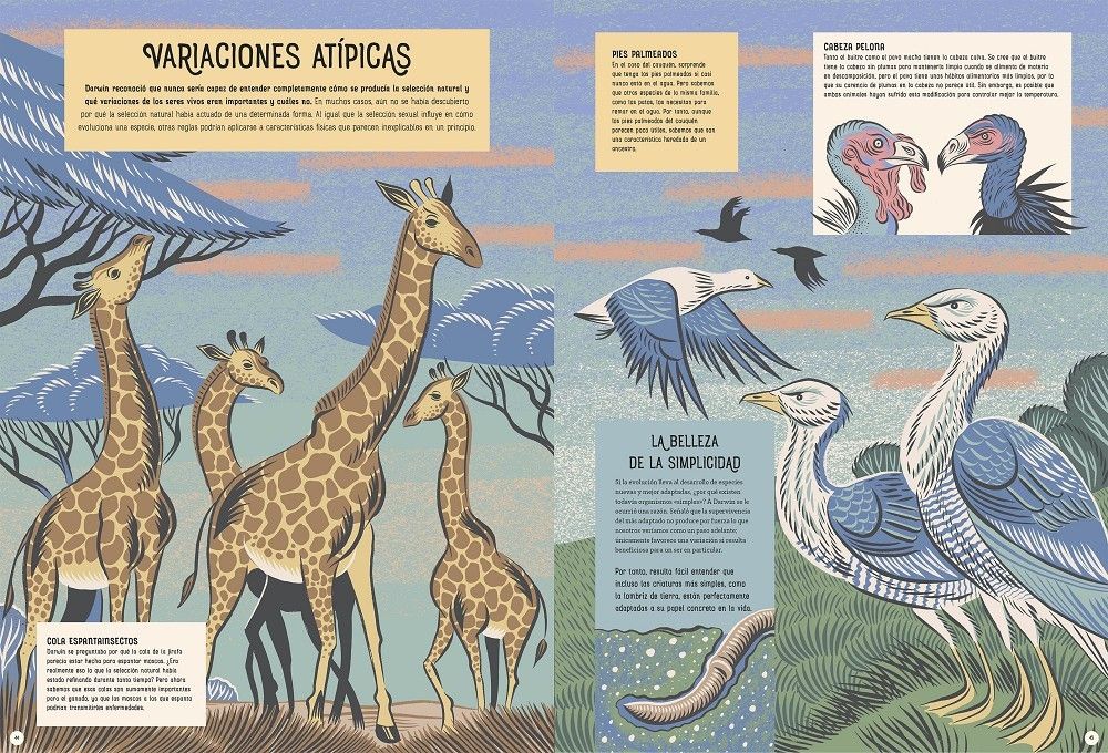 Quinta imagen de Charles Darwin y el origen de las especies de Astronave