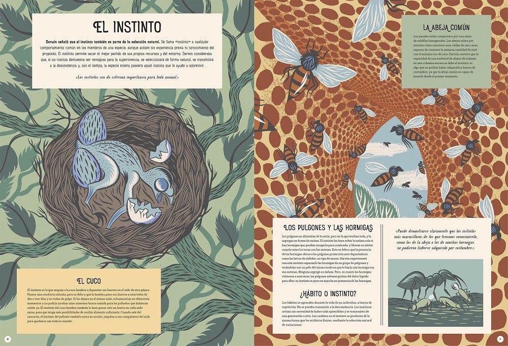 Cuarta imagen de Charles Darwin y el origen de las especies de Astronave