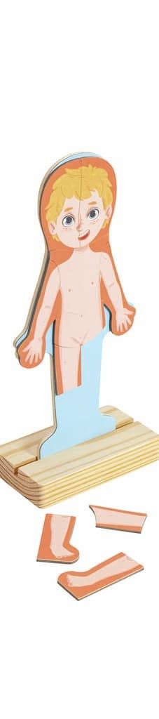 Quinta imagen del Rompecabezas Magnético del Cuerpo Humano de Hape