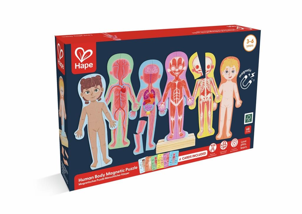 Segunda imagen del Rompecabezas Magnético del Cuerpo Humano de Hape