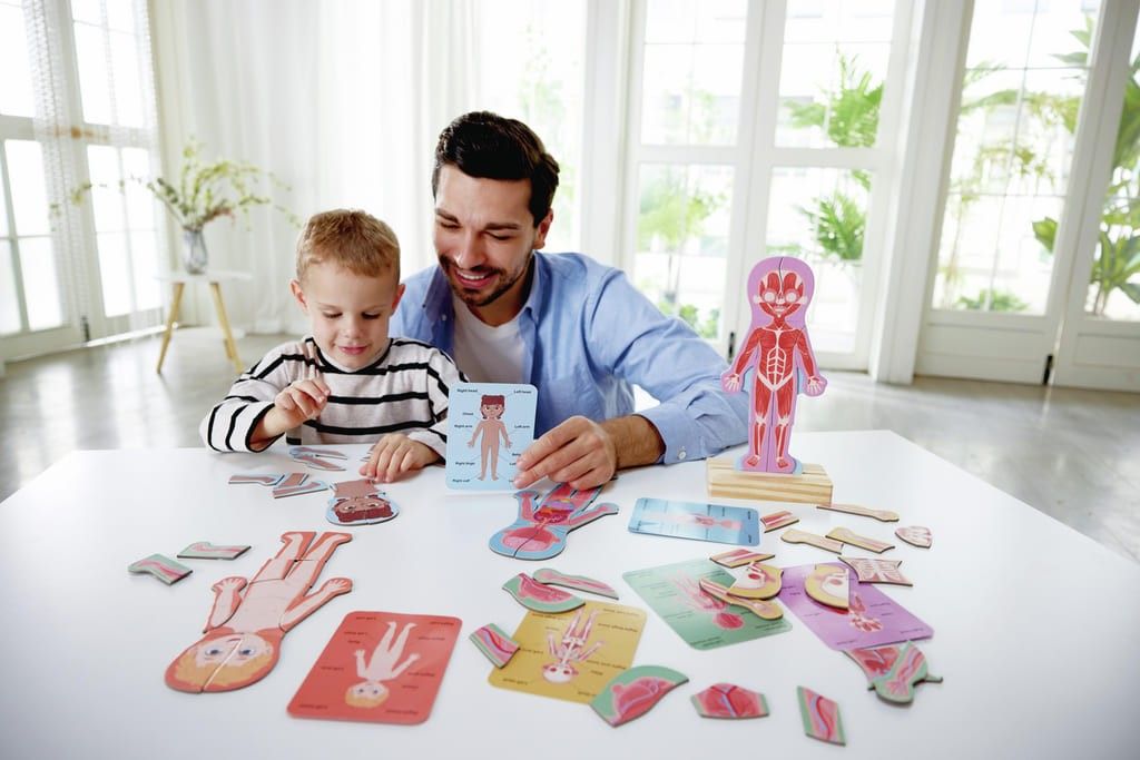 Tercera imagen del Rompecabezas Magnético del Cuerpo Humano de Hape