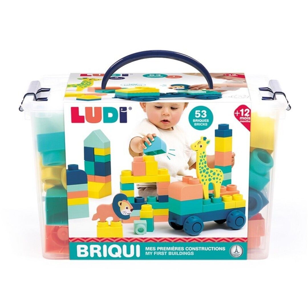 Primera imagen de Briqui, mis primeras construcciones
